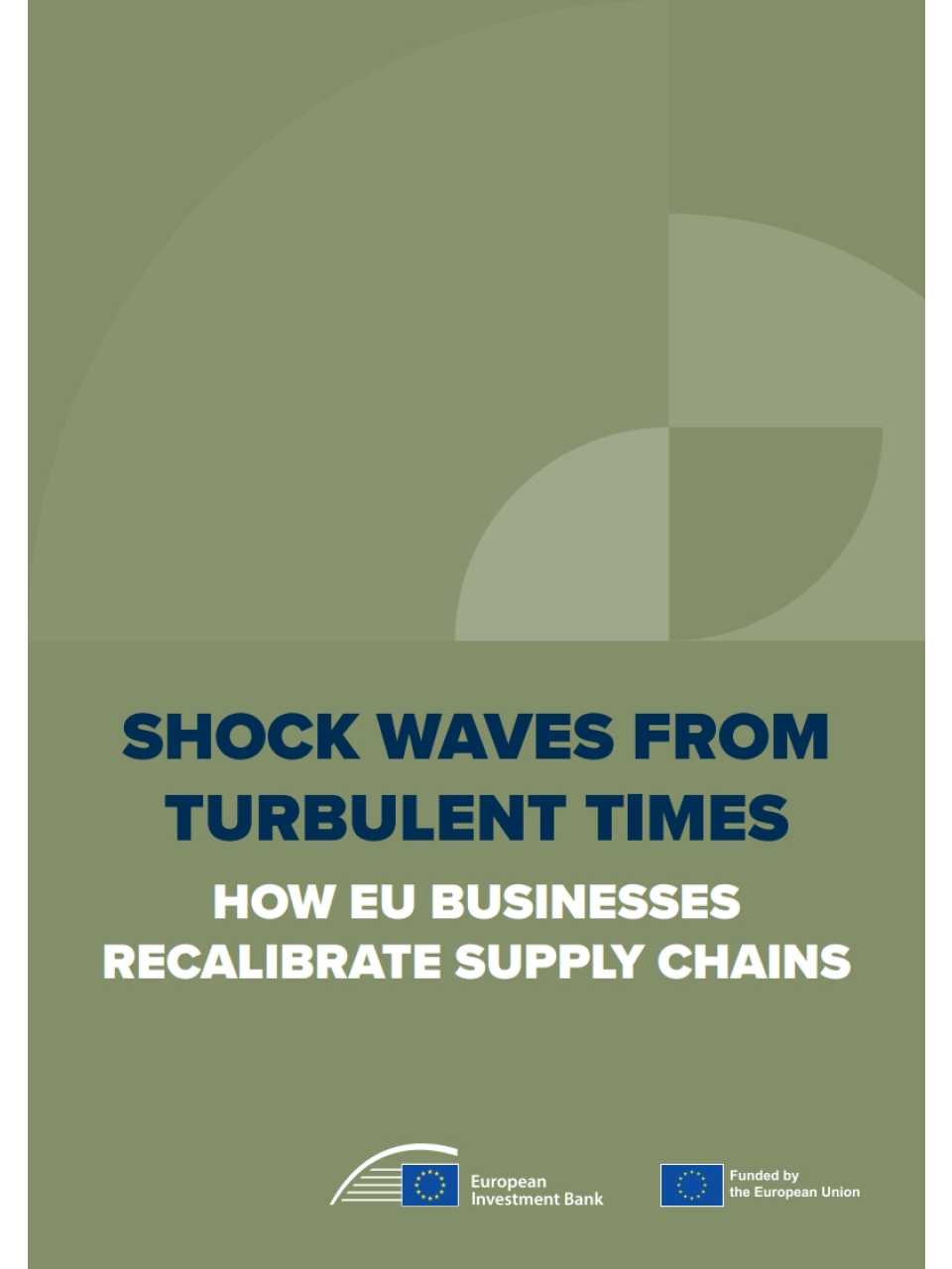 Shock waves from turbulent times: How EU businesses recalibrate supply chains