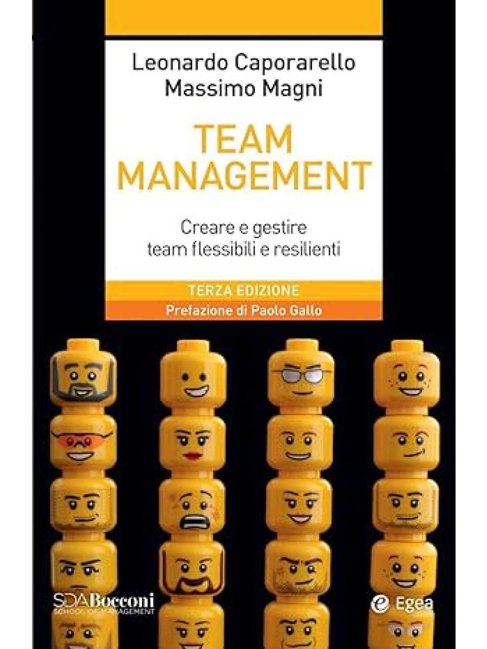 Team management. Come gestire e migliorare il lavoro di squadra