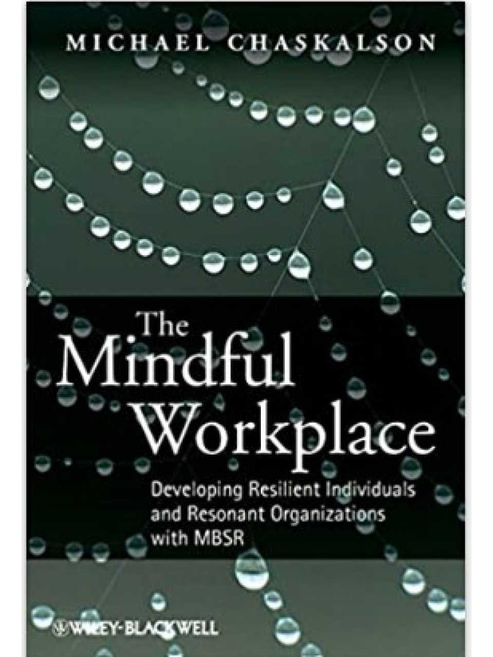 The Mindful Workplace. Developing Resilient Individuals and Resonant Organizations with MBSR