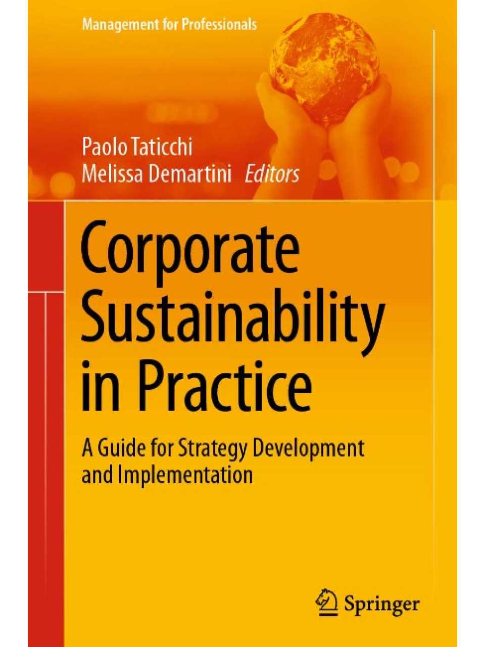 Corporate Sustainability in Practice. A Guide for Strategy Development and Implementation