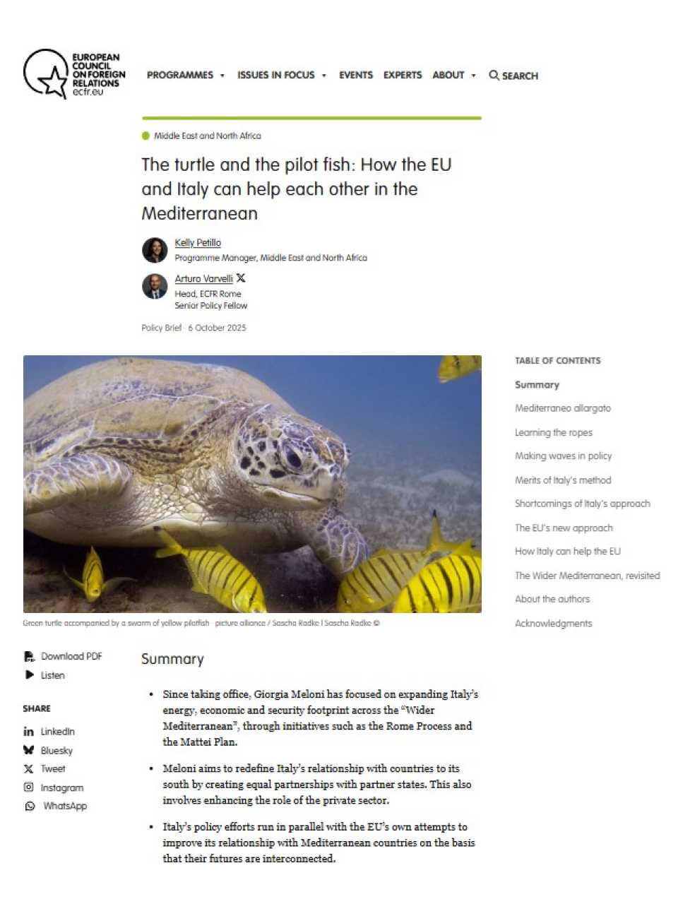 The turtle and the pilot fish: How the EU and Italy can help each other in the Mediterranean