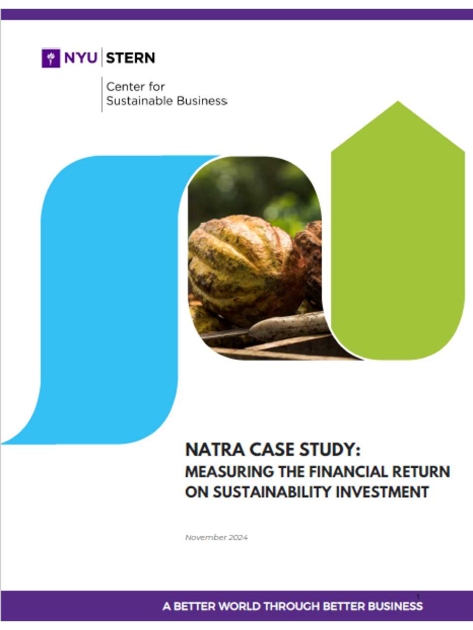 Natra case study: measuring the financial return on sustainability investment